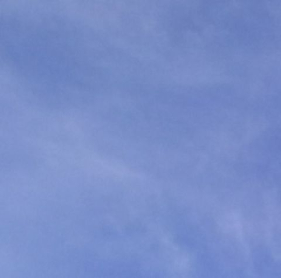 Meet your Posher, Angelina - Picture 1 of 1